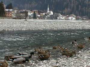 Lago di Alleghe